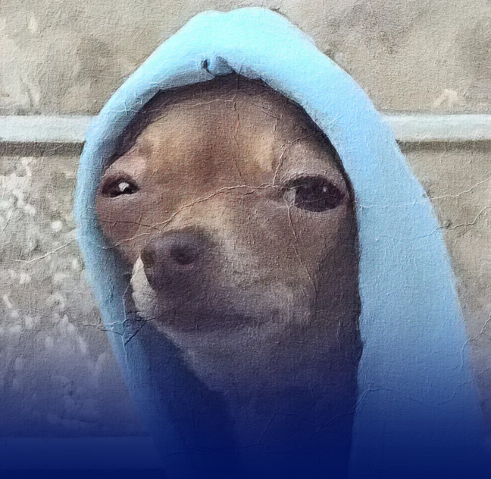 #23 Büyük Oyun: Süpürge, Köpek ve Pet-mom